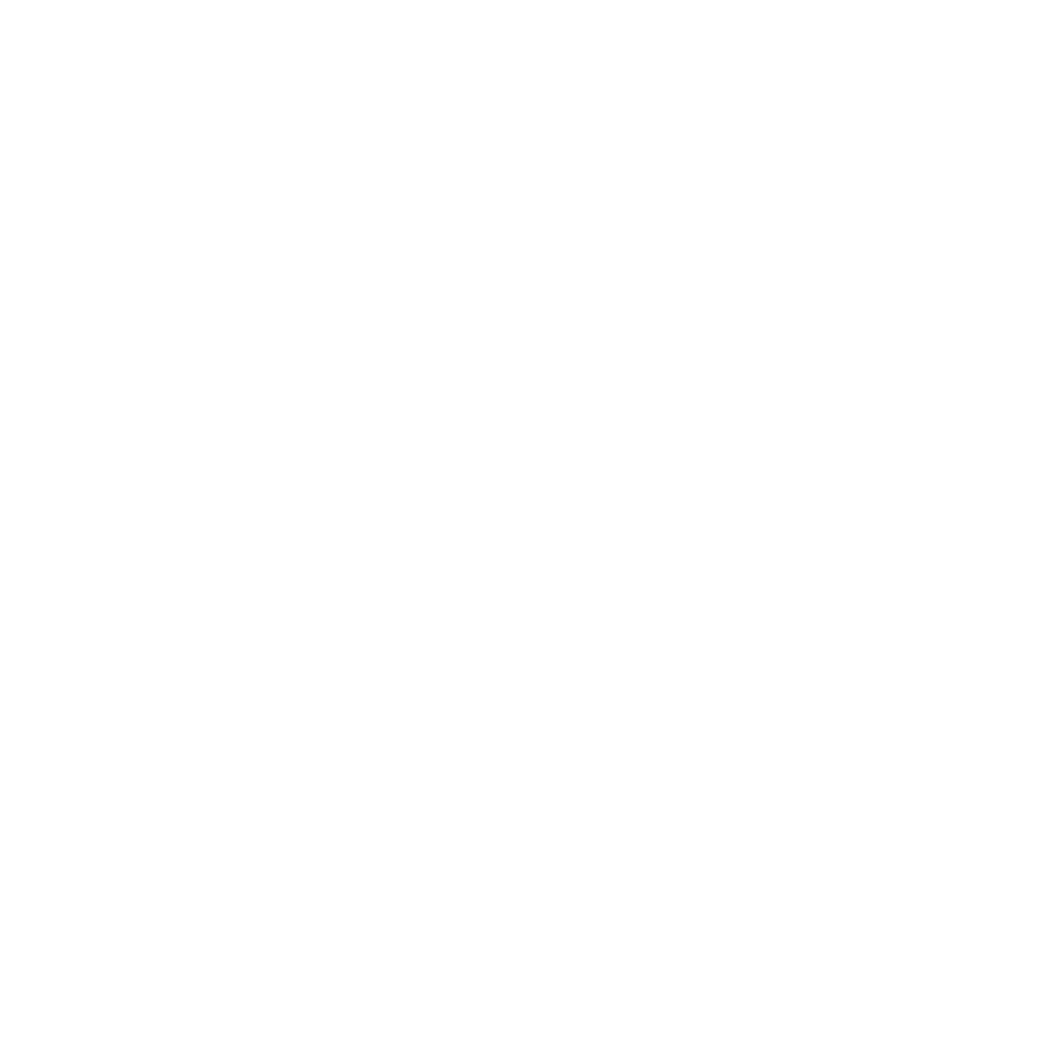 Facebook Icon in weiß